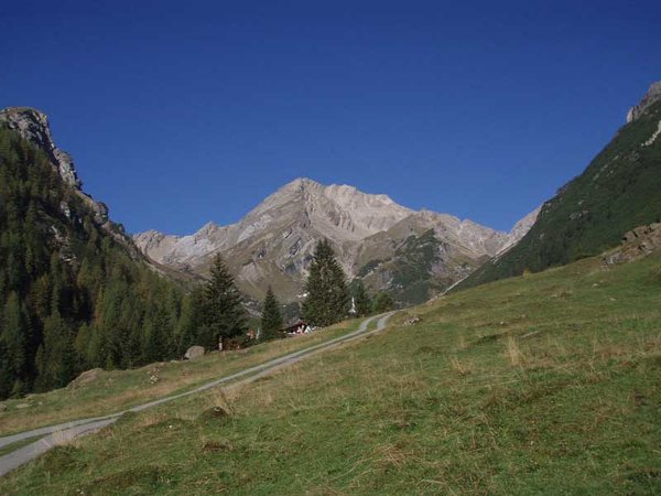 PA040007-comp-Lechtaler-Alpen,-Muttekopf,-bei-der-Latschenhütte-.jpg